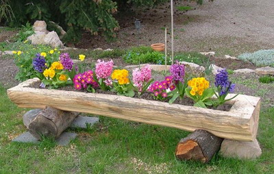 Ландшафтный дизайн primula Ландшафтный дизайн primula
