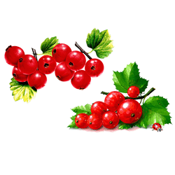 Наклейки, серия ягоды, красная смородина 2 шт