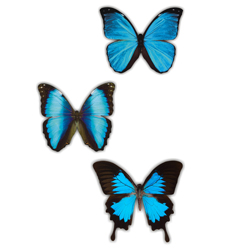 Декорум — Наклейки объемные. Серия бабочки. Голубая лагуна 3 шт. (размер каждой наклейки около 80х70 мм)