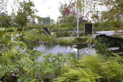 watergardens