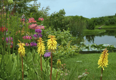 watergardens