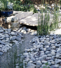 сухое русло