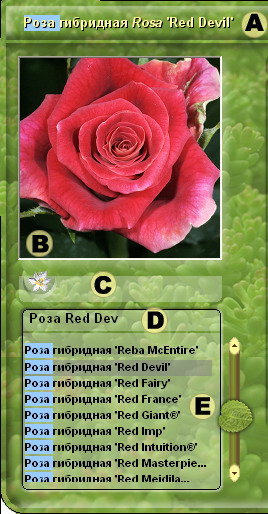 Энциклопедия растений
