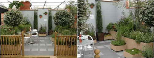 Chelsea Flower Show 2007