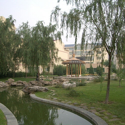 Китайский сад