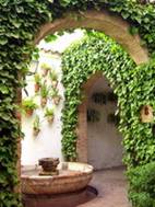 Патио - внутренний дворик