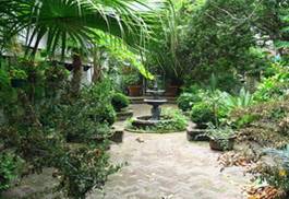 Патио - внутренний дворик