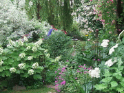 романтический сад