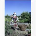 Пугало огородное. Одноклассники - группа "Дача - любовь моя"