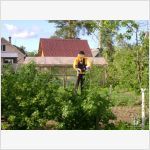 Пугало огородное. Одноклассники - группа "Дача - любовь моя"