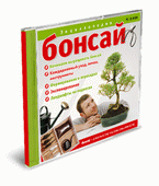 Бонсай