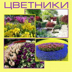 Цветники