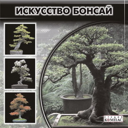 Искусство бонсай