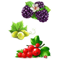 Декорум — Наклейки объемные. Серия ягоды. Ягодное ассорти коллекция 3 шт