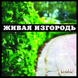 Живая изгородь