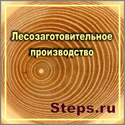 лесозаготовка